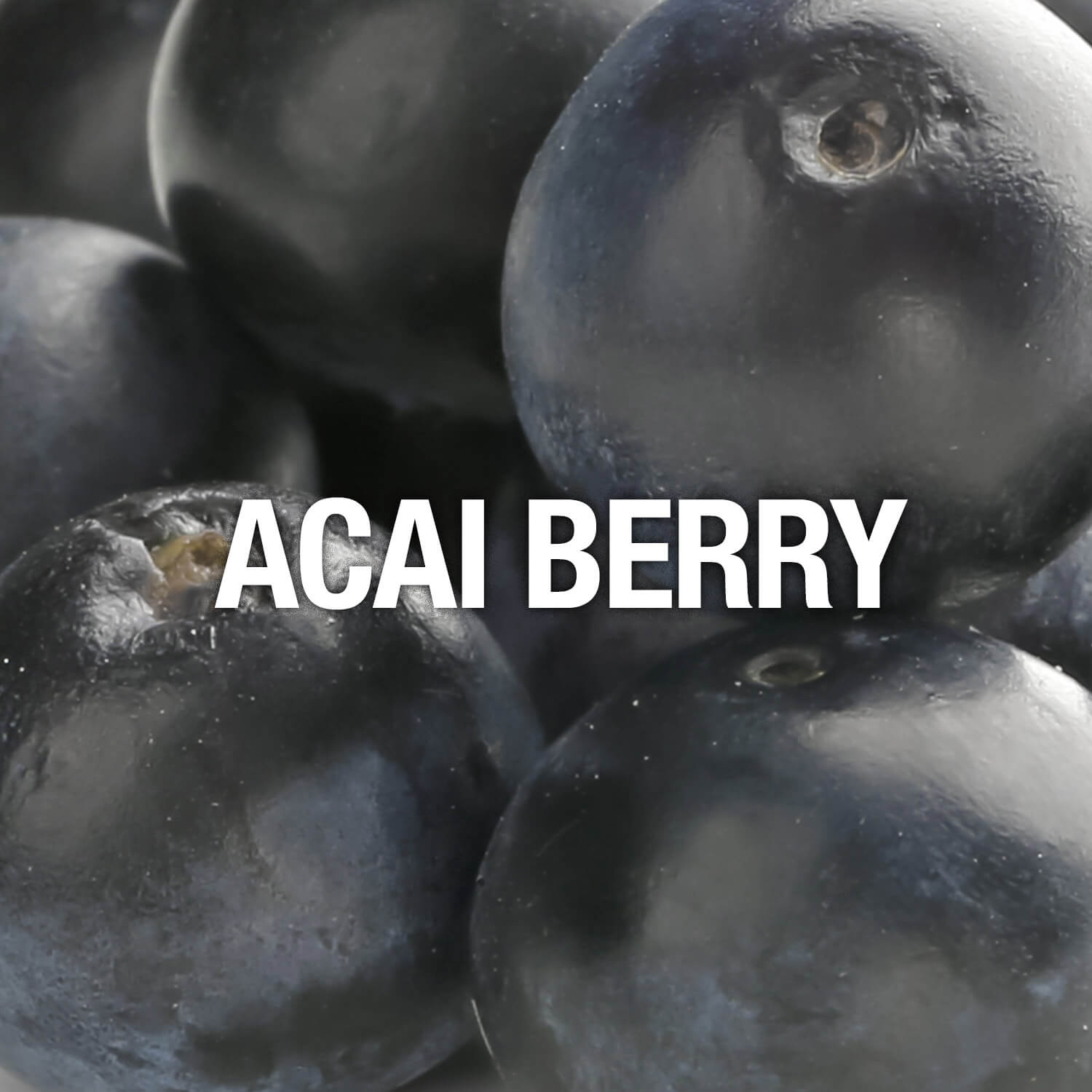 Curve Fragrance Notes Acai Berry