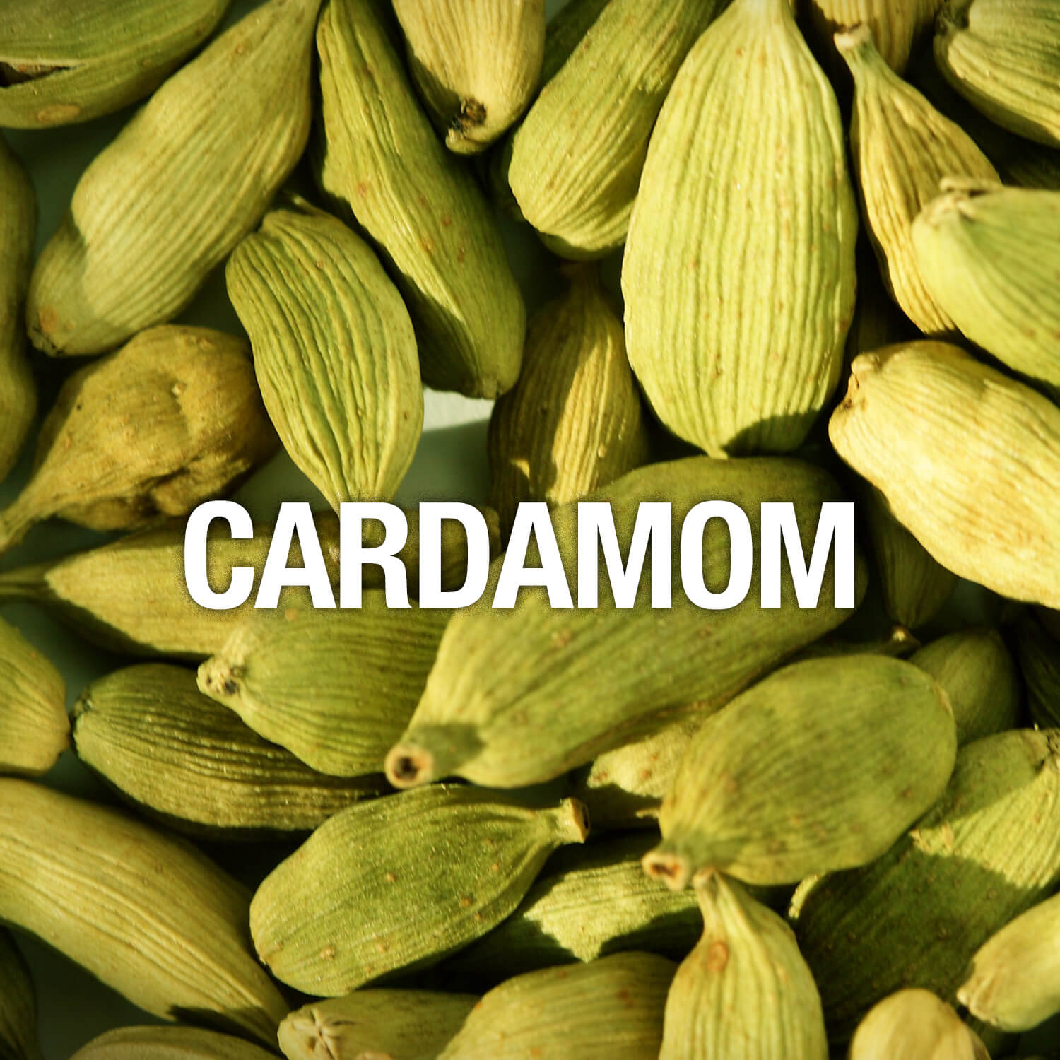 Curve Fragrance Notes Cardamom