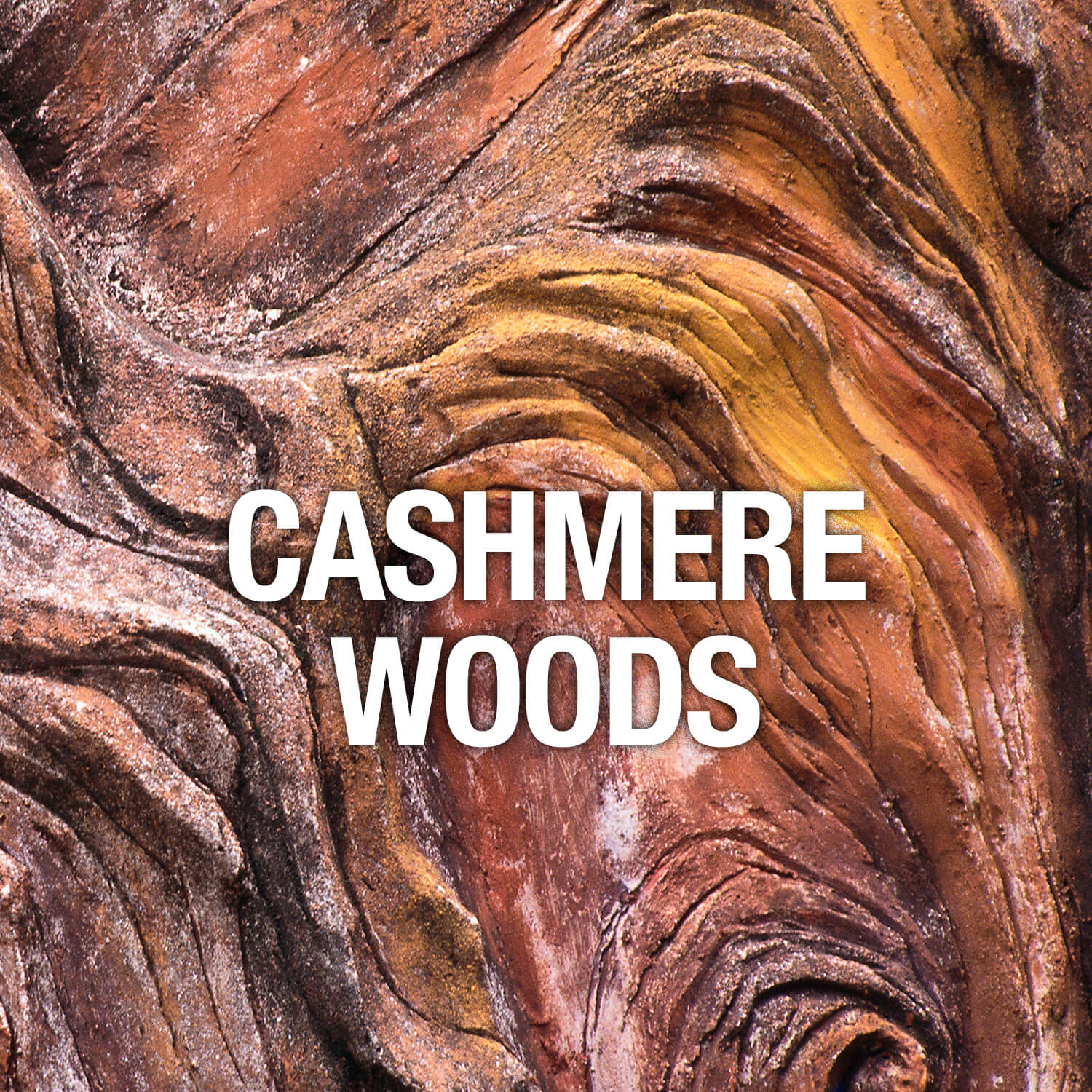 Curve Fragrance Notes Cashmere Woods