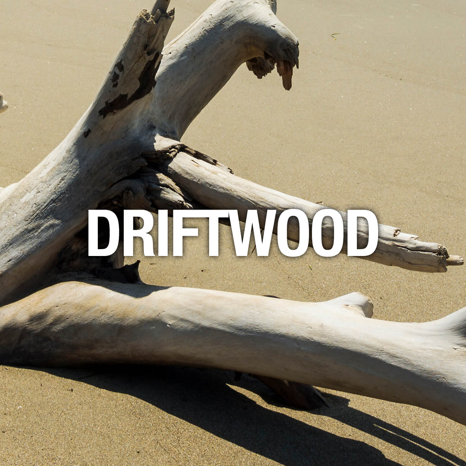 Curve Fragrance Notes DriftWood