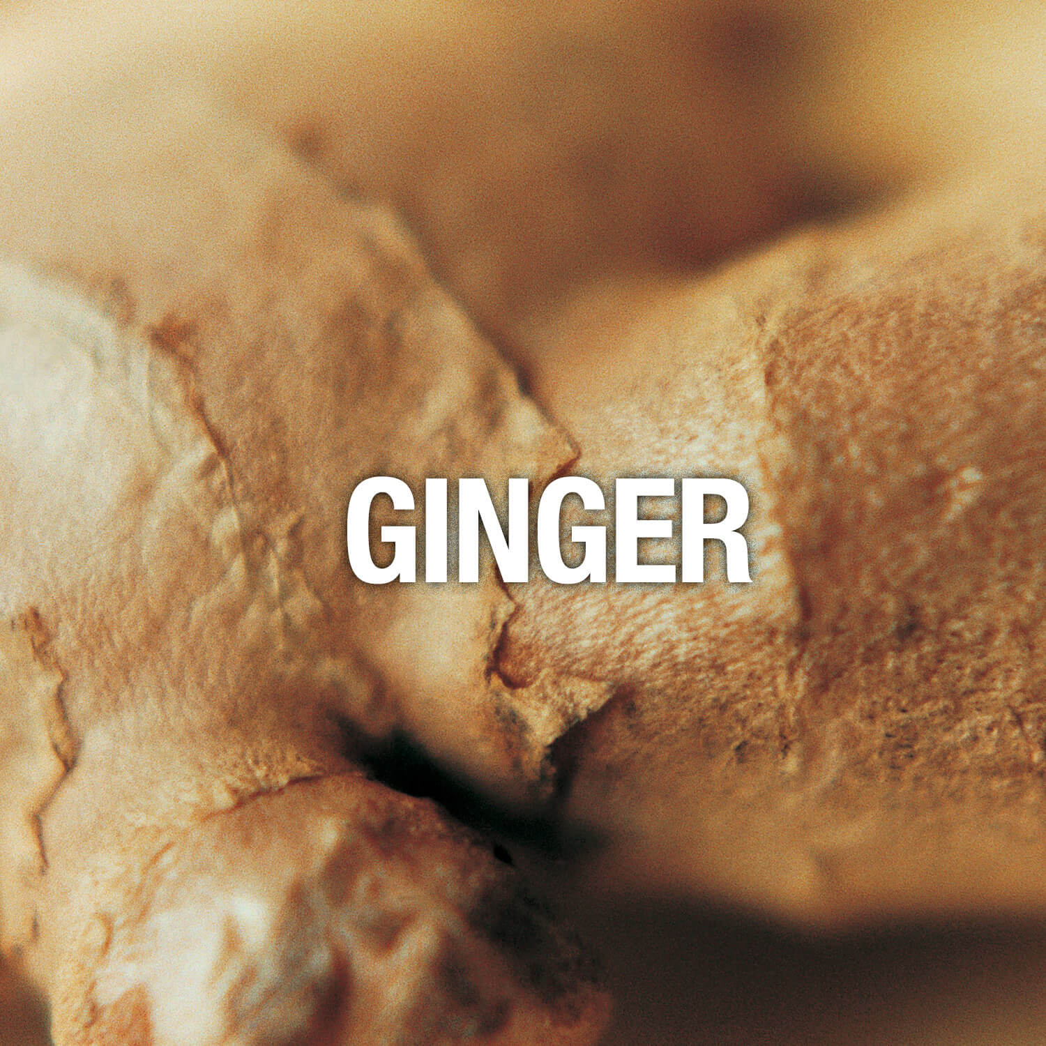 Curve Fragrance Notes Ginger