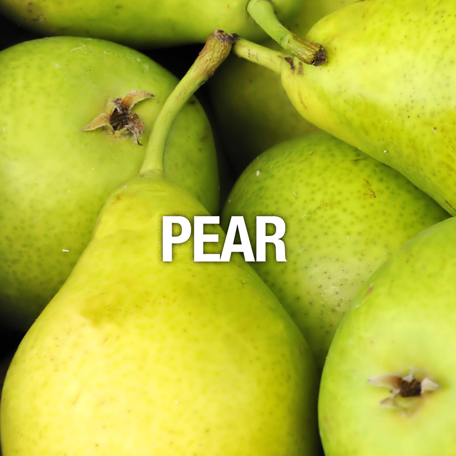 Curve Fragrance Notes Pear