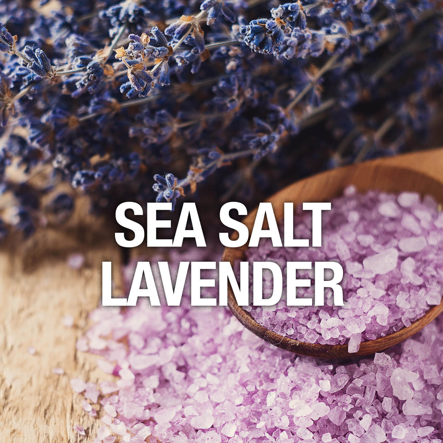 Curve Fragrance Notes Sea Salt Lavender